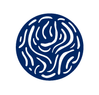 Program and team support